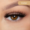 Vesela™ - Magnetische Wimpern Für Mühelosen Glamour