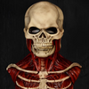 GrimReaper™ - Realistisches Skelettkostüm