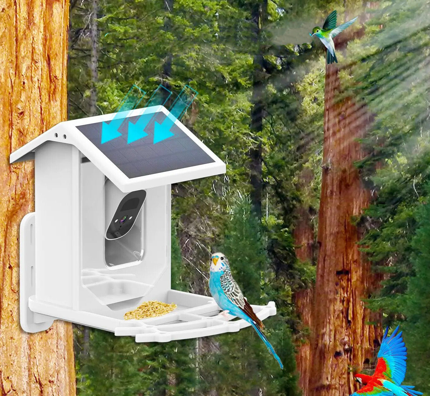 BioView™ - Solar CamFeeder: Die Natur hautnah erleben