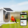 BioView™ - Solar CamFeeder: Die Natur hautnah erleben