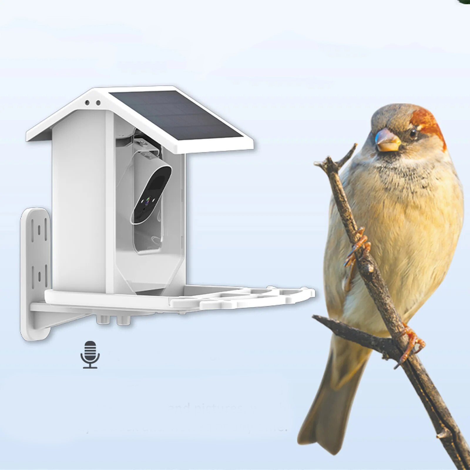 BioView™ - Solar CamFeeder: Die Natur hautnah erleben