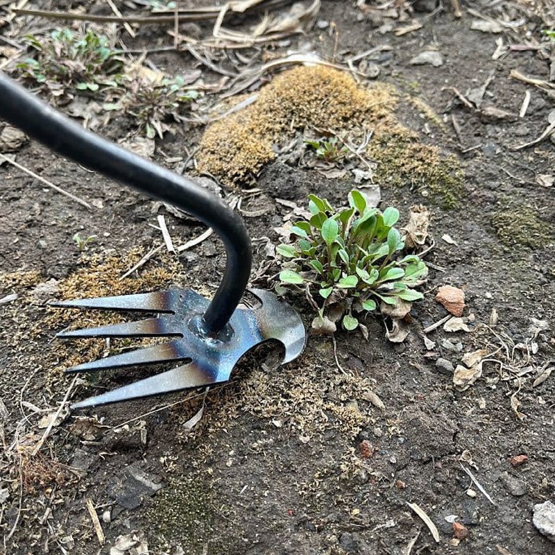 WeedWizard™ Unkrautstecher - Müheloses Unkrautentfernen von der Wurzel