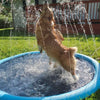 FunDog - Hundepool mit Sprinkleranlage